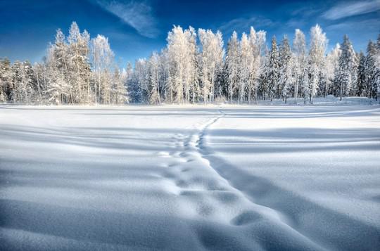 Mikko Lagerstedt 06 540x357 Les Photos de Mikko Lagerstedt
