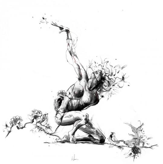 135 i11u57r47i0n5 d’413xi5 m4rc0u