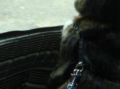 Coucou Lorraine, avril 2010