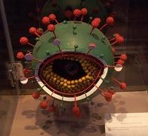 1,6 millions de personnes contaminées par le virus HIV en Amérique Latine