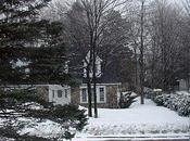 Comme poisson dans neige