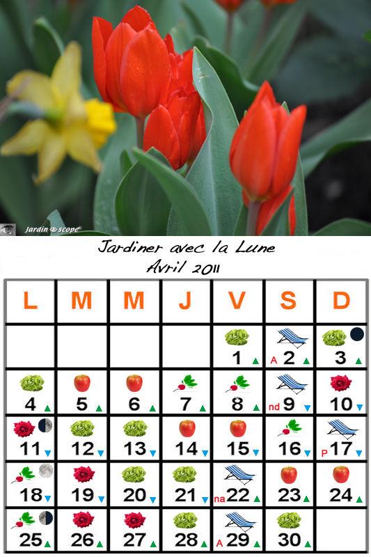 Jardiner_avec_la_lune_avril_2011