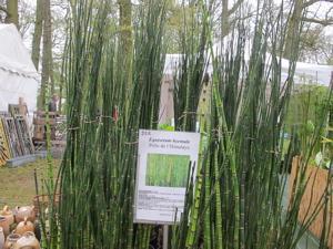 Fête des plantes : quelques envies vertes pour courir à Saint Jean de Beauregard