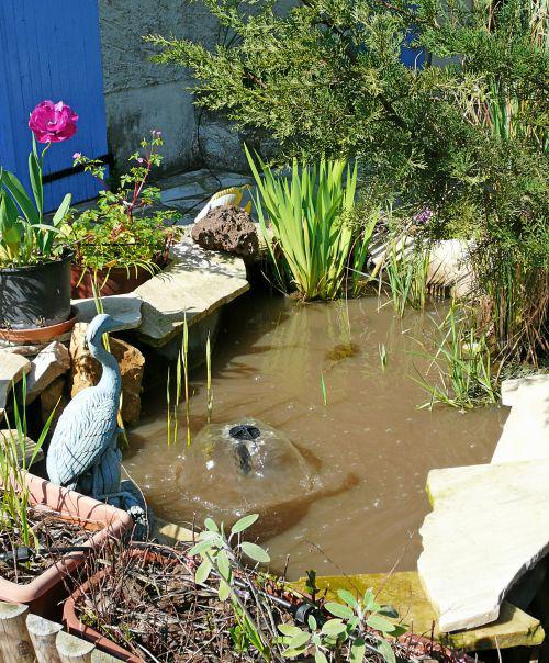 Préparation des potager, bassins et jardin d'agrément avec l'arrivée des beaux jours : journal du 2 avril 2011