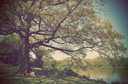 Image 7 All you need is love…