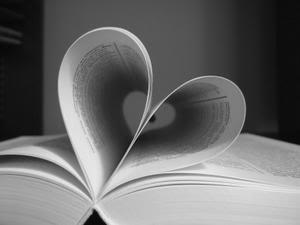 Bilan lecture - Mars 2011