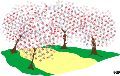 cerisiersJapon.png