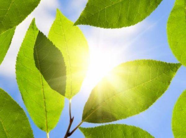 Sun Catalytics : du soleil à l’hydrogène sans passer par l’électricité ?