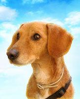 de retour de Gréasque