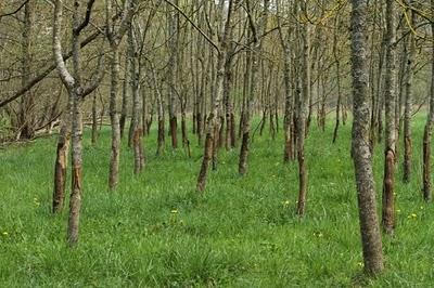 Dimanche au bord de l'eau