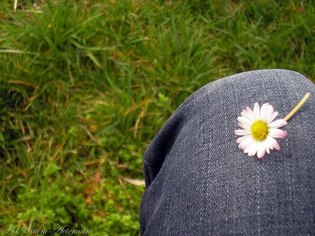 De l'interêt de fabriquer son propre shampoing.