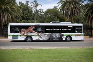 Le Zoo de Perth sur un bus