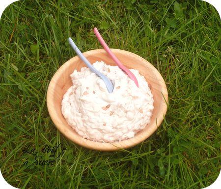 Chantilly_au_riz_au_lait_2