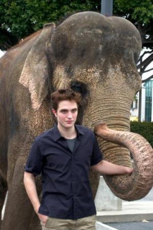 Vidéo et photos de Robert Pattinson et Taï