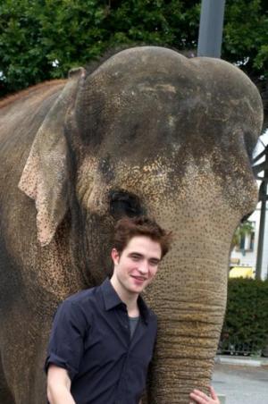 Vidéo et photos de Robert Pattinson et Taï