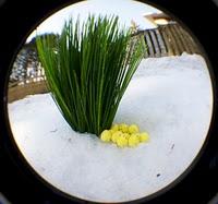 Un lundi parmi tant d'autres #23