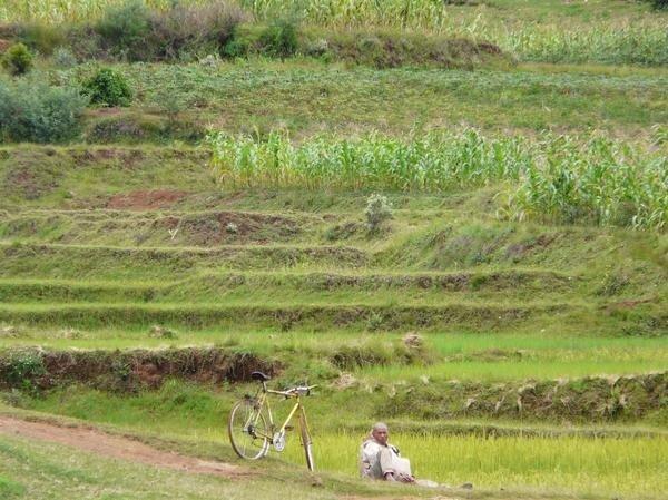 MADAGASCAR, vue par Magali Nirina MARSON.