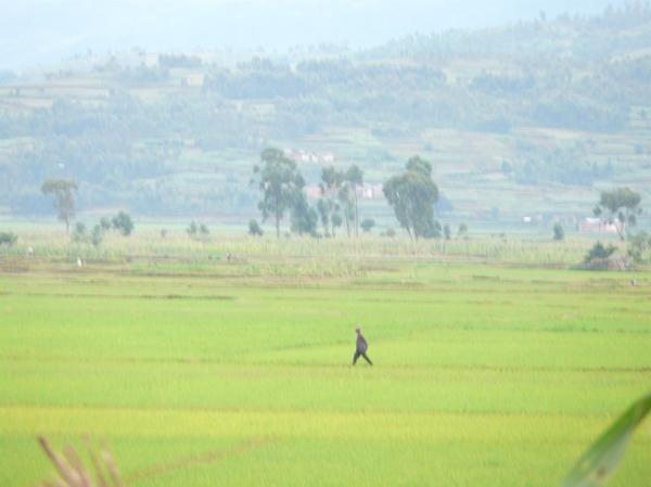 MADAGASCAR, vue par Magali Nirina MARSON.