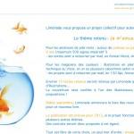 Je m’amuse en Inde, projet collectif proposé par Limonade