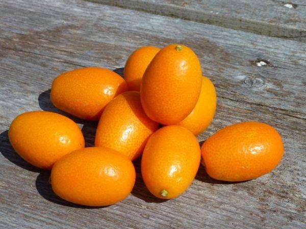 Kumquats confits et RFO dans ma cuisine