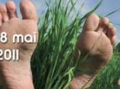 Journée SANTÉ PIED 2011: Auriez-vous pied diabétique? UFSP