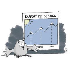 Rapport-gestion-dessin
