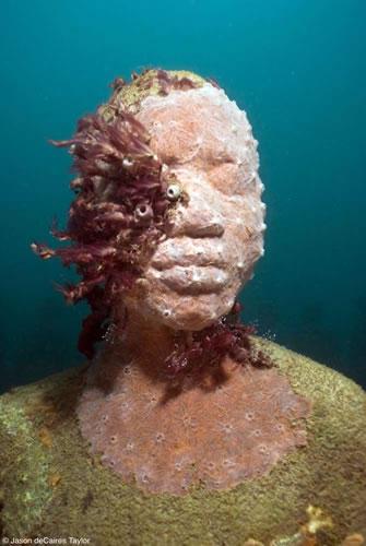 http://www.underwatersculpture.com/pages/gallery/images/740x500/Vicissitudes17wtmk.jpg