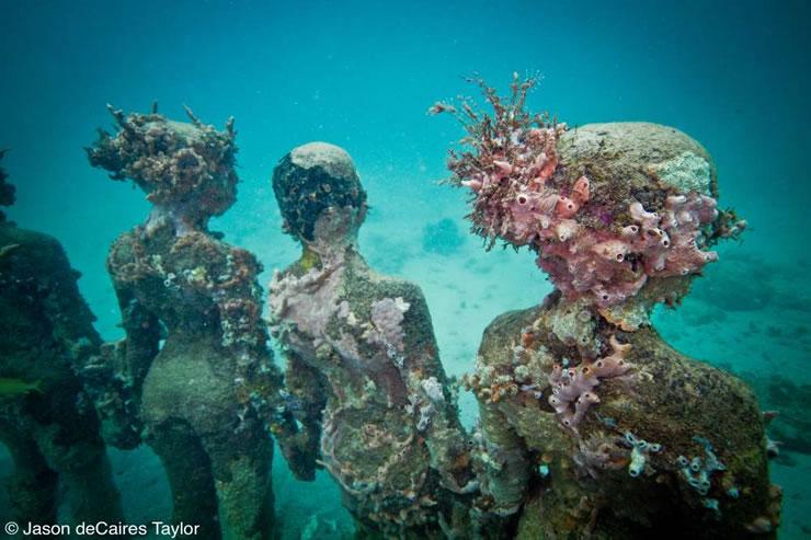 http://www.underwatersculpture.com/pages/gallery/images/740x500/Vicissitudes23wtmk.jpg