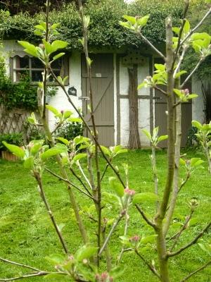 Une première tonte s'imposait...Sentiment d'espace et de ...