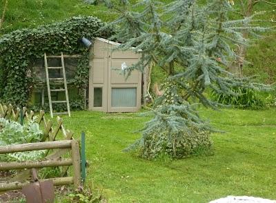 Une première tonte s'imposait...Sentiment d'espace et de ...