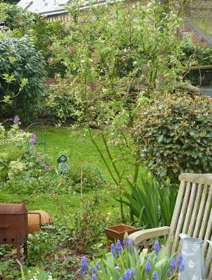 Une première tonte s'imposait...Sentiment d'espace et de ...