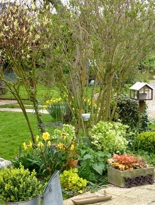 Une première tonte s'imposait...Sentiment d'espace et de ...