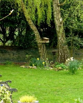 Une première tonte s'imposait...Sentiment d'espace et de ...