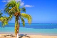 Voyages entre deux îles paradisiaques