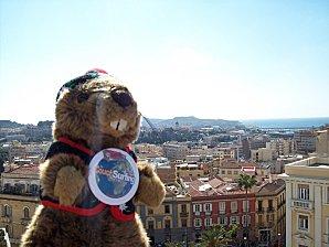 100_7971.JPG