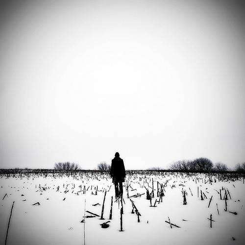 Gwen Coyne - Untitled.jpg