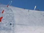 lion, sorcière blanche l'armoire magique