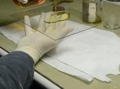 Procédé collodion humide