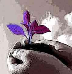 economie solidaire parti socialiste convention.jpg