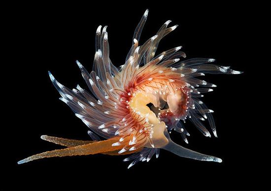 Underwater experiments