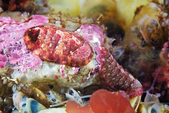 Underwater experiments