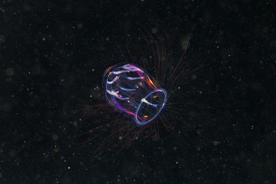 Underwater experiments