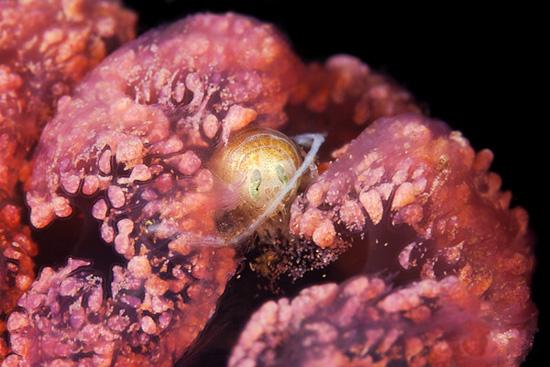 Underwater experiments