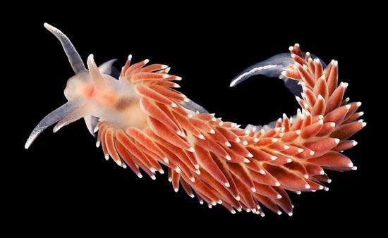 Underwater experiments