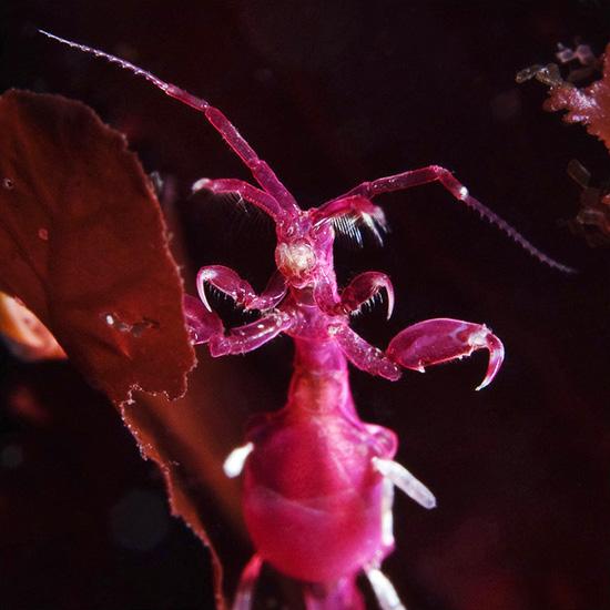 Underwater experiments