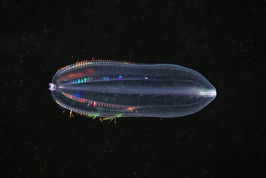 Underwater experiments