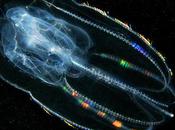 Underwater experiments