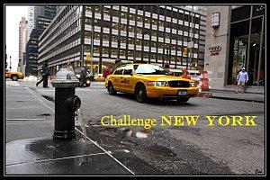 Challenge new york en littérature - well read kid