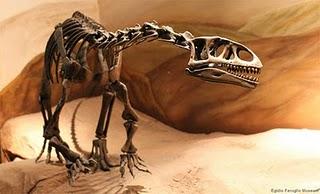 Encore une nouvelle espèce de dinosaure découverte en Argentine