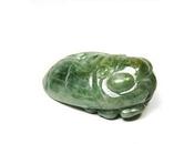 cigales s'invitent dans boutique